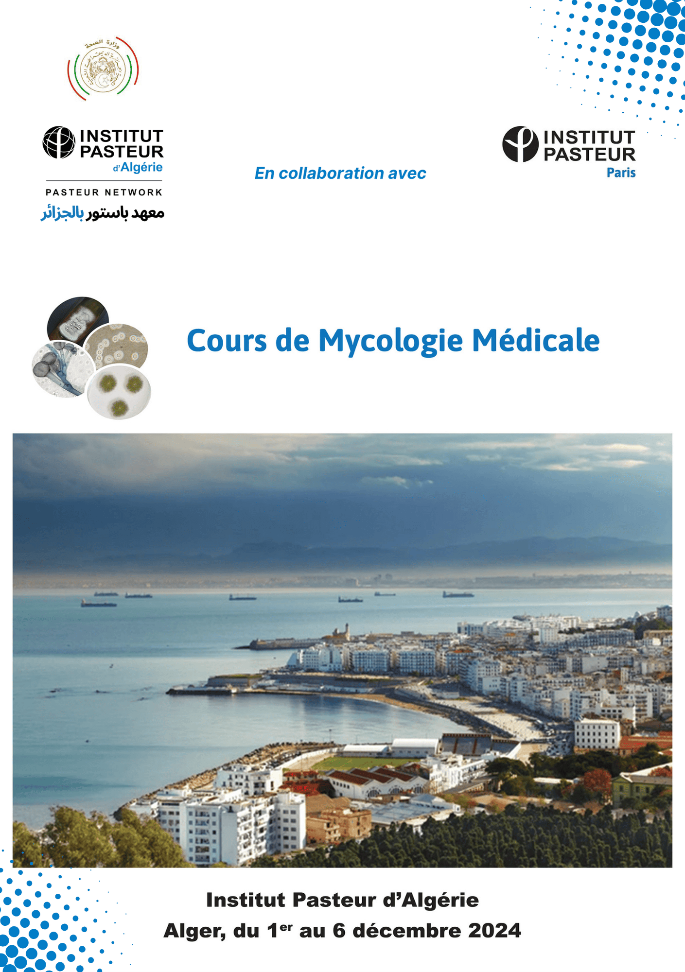 Visuel Cours mycologie 2 1